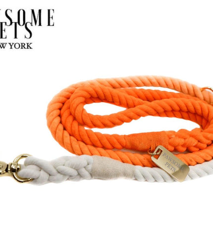 ROPE LEASH - SANTA MONICA SUNSET-0
