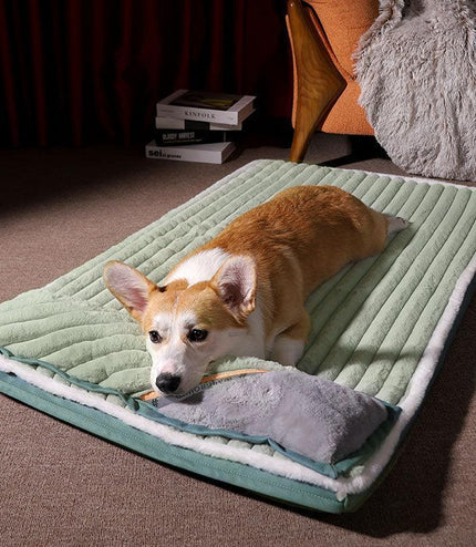Cozy Comfy Pet Haven-2